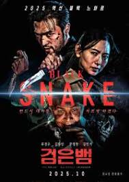 黑蛇2025封面图