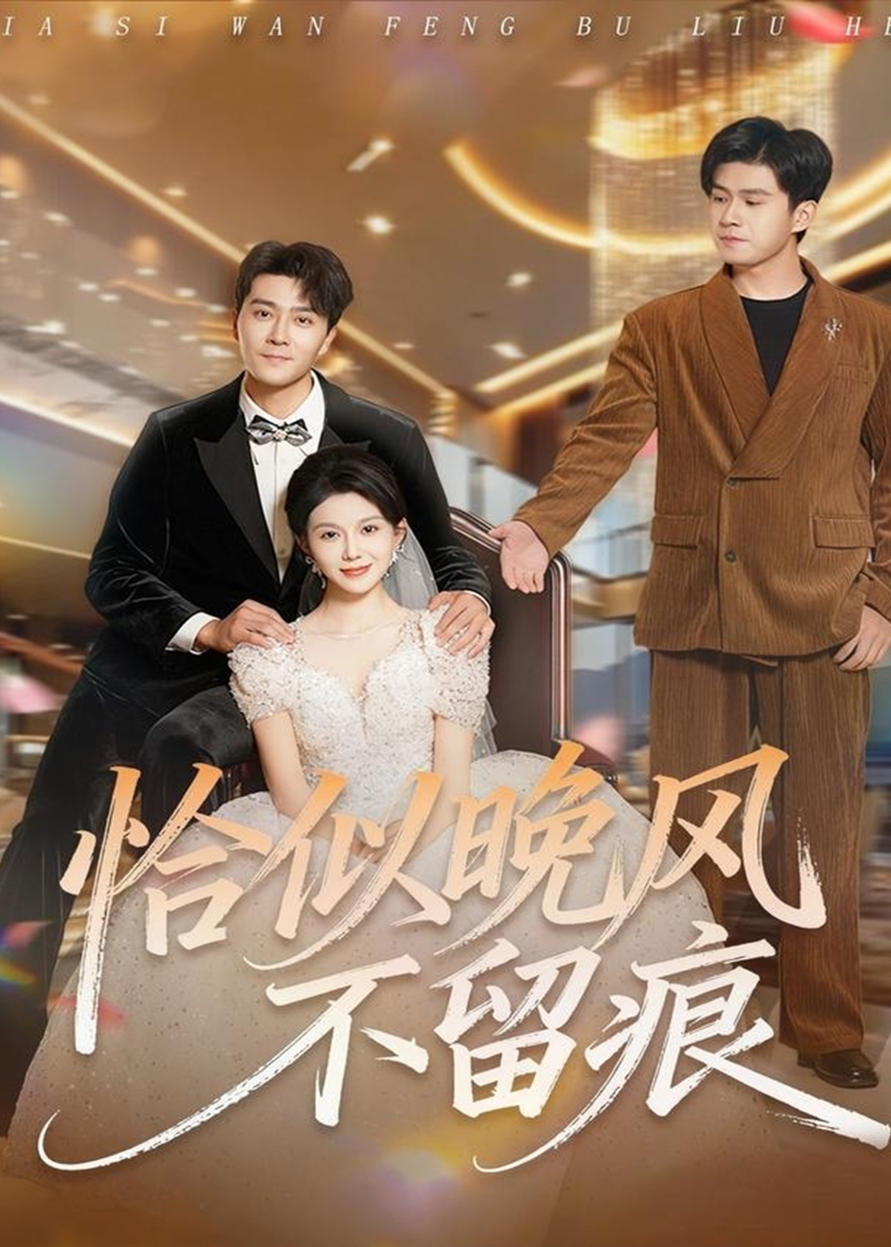 恰似晚风不留痕封面图