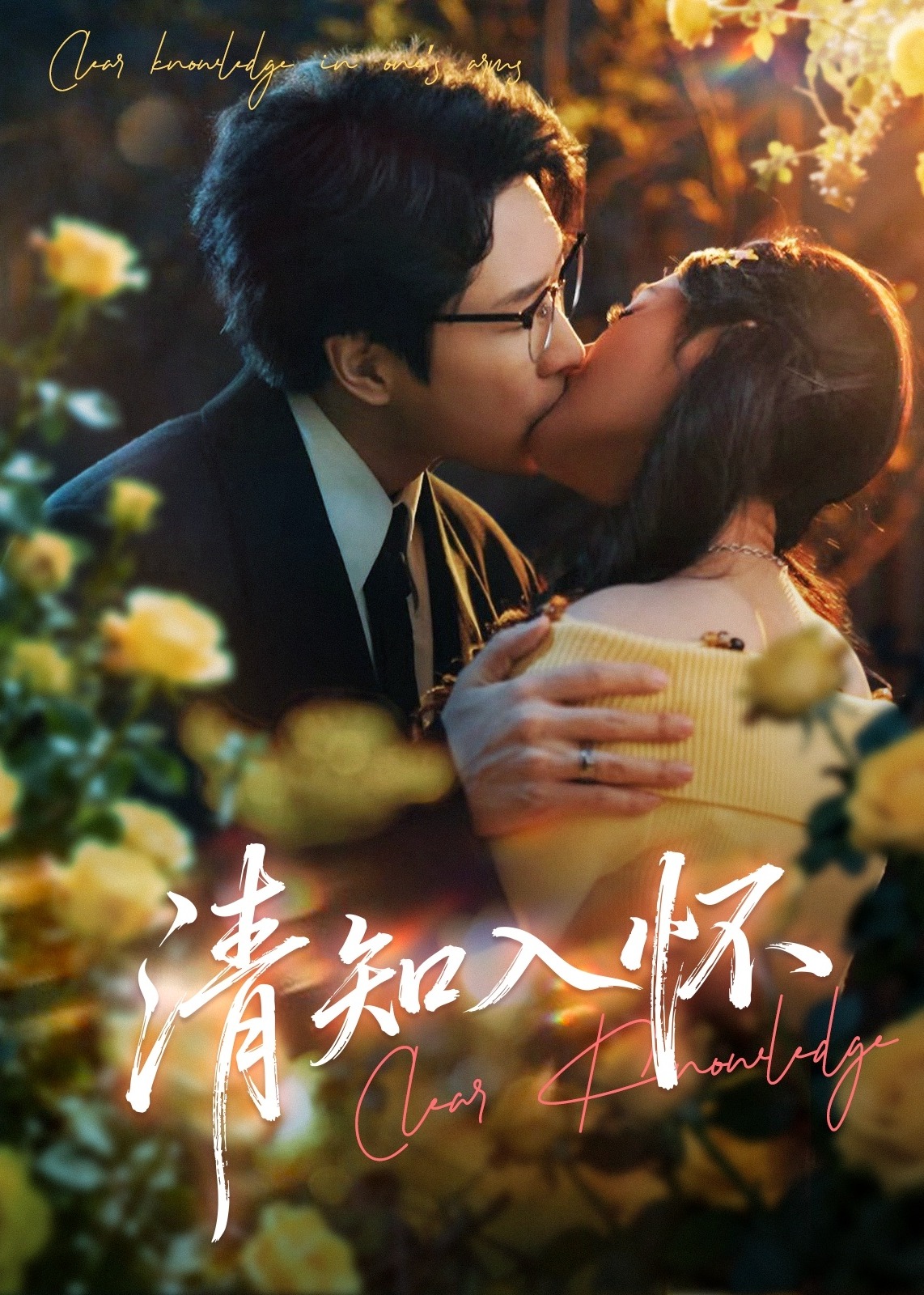 清知入怀封面图