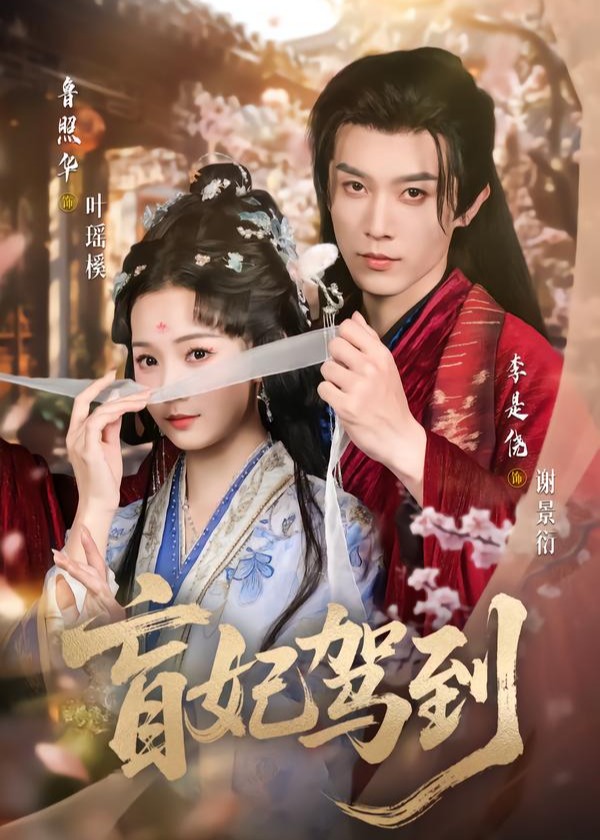 盲妃驾到封面图