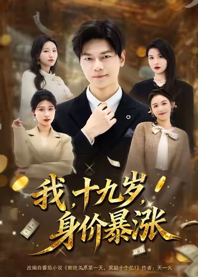 我十九岁身价暴涨封面图