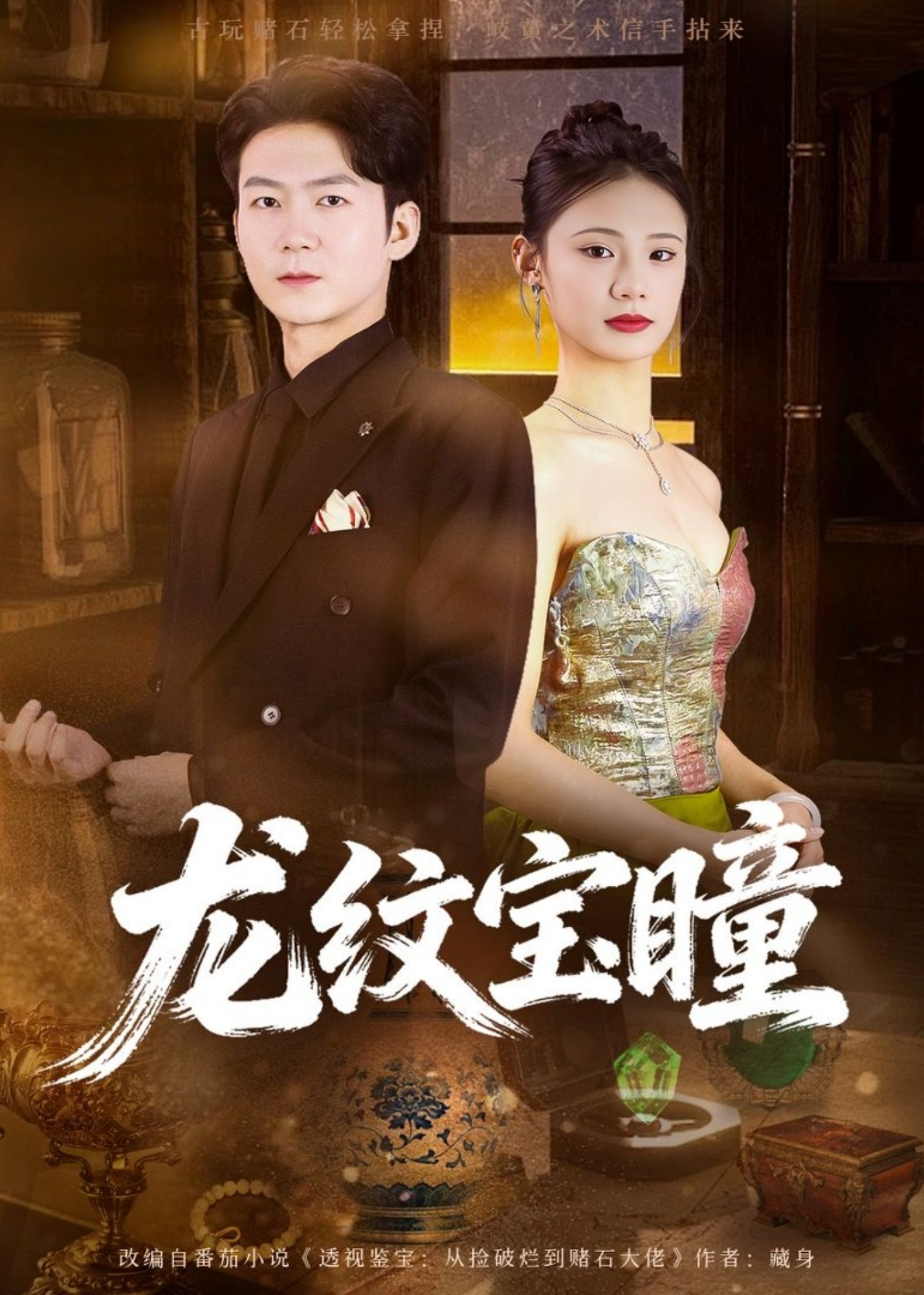 龙纹宝瞳封面图