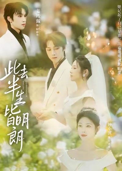 此去半生皆明朗封面图