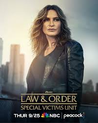 法律与秩序：特殊受害者 第二十七季封面图