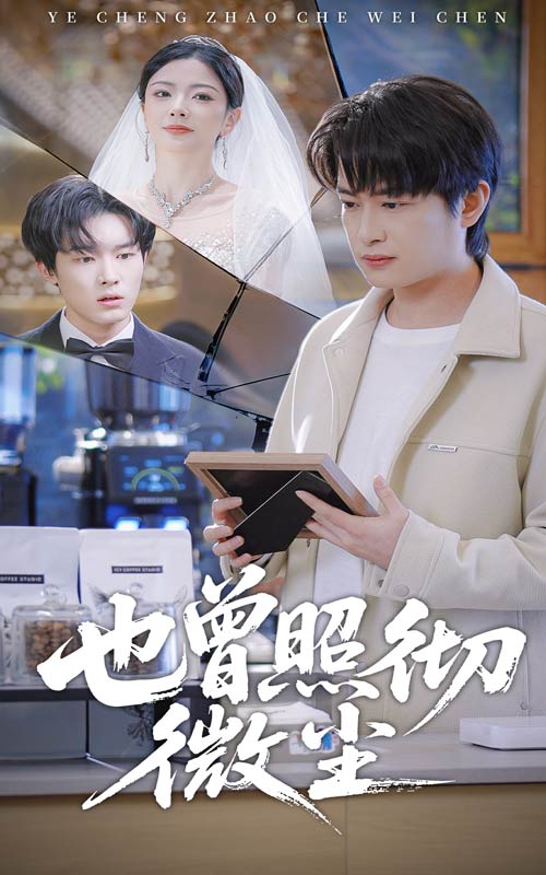 也曾照彻微尘封面图