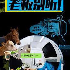 老板别听！封面图