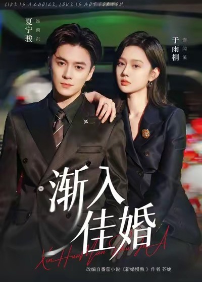 渐入佳婚3封面图