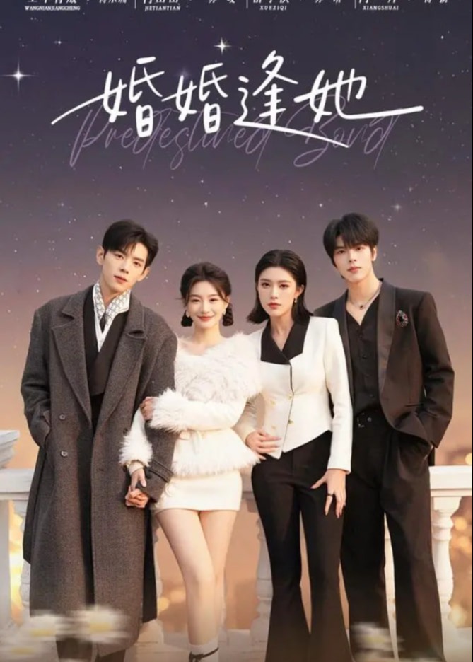 婚婚逢她封面图