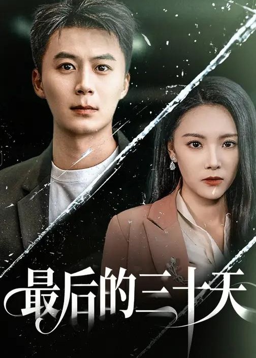 最后的三十天封面图