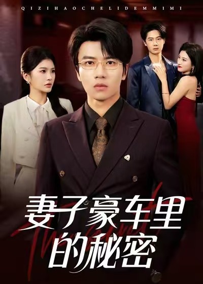 妻子豪车里的秘密封面图