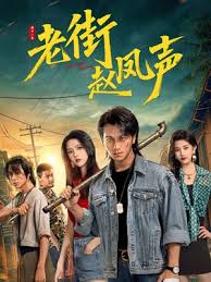 老街赵凤声封面图