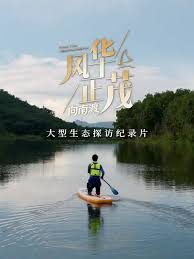 风华正茂 第三季封面图