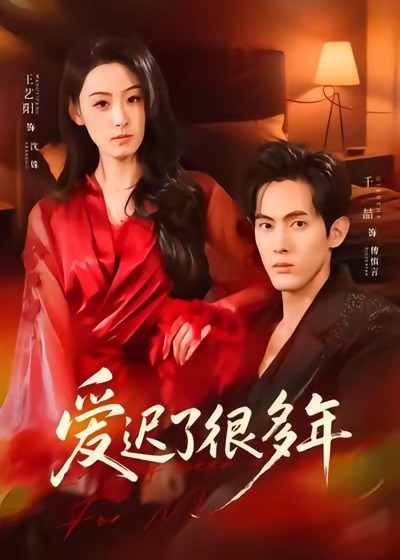 爱迟了很多年封面图