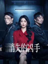 消失的凶手封面图
