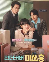 卧底洪小姐封面图