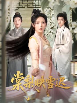 棠梨映雪迟封面图