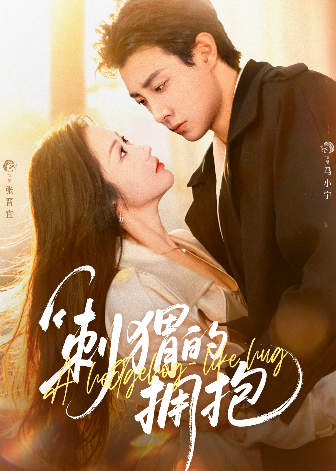 刺猬的拥抱封面图