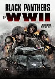 二战黑豹封面图