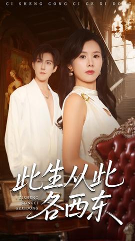 此生从此各西东封面图