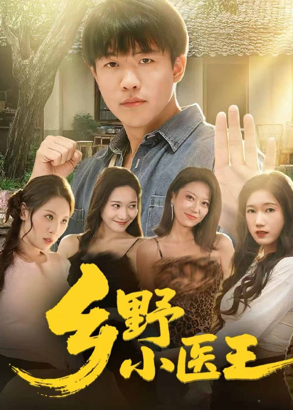 乡野小医王封面图