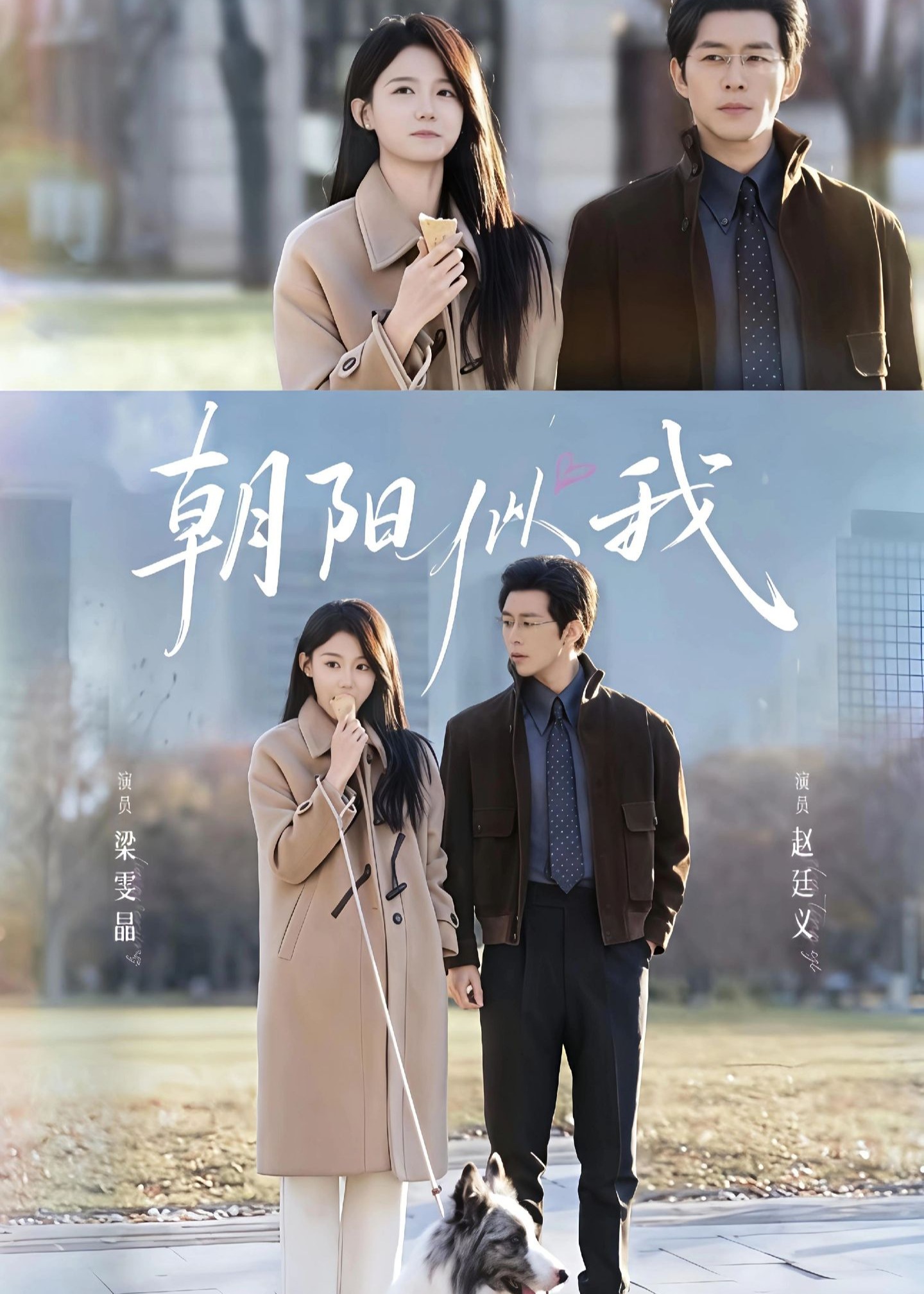 朝阳似我封面图