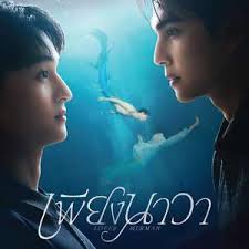 人鱼恋人封面图