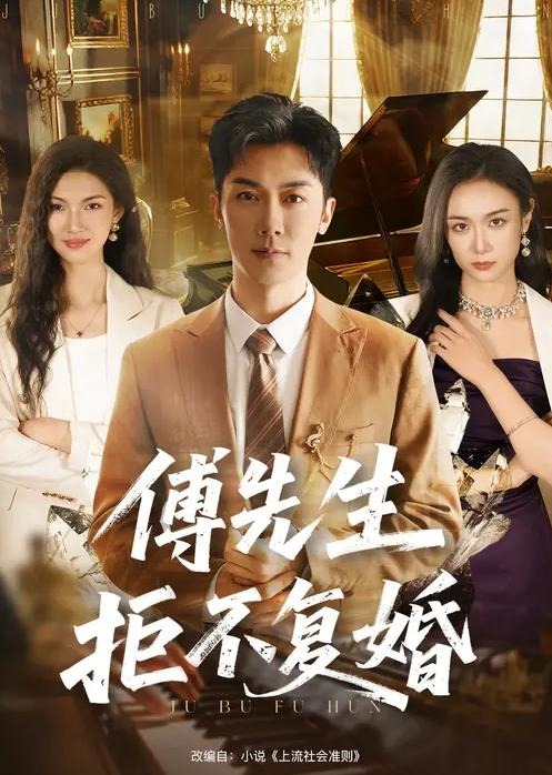 傅先生拒不复婚封面图