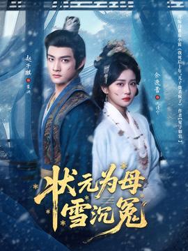 状元为母雪沉冤封面图