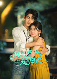 风与星光是归途封面图