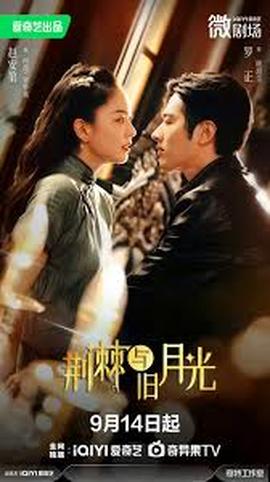 荆棘与月光封面图