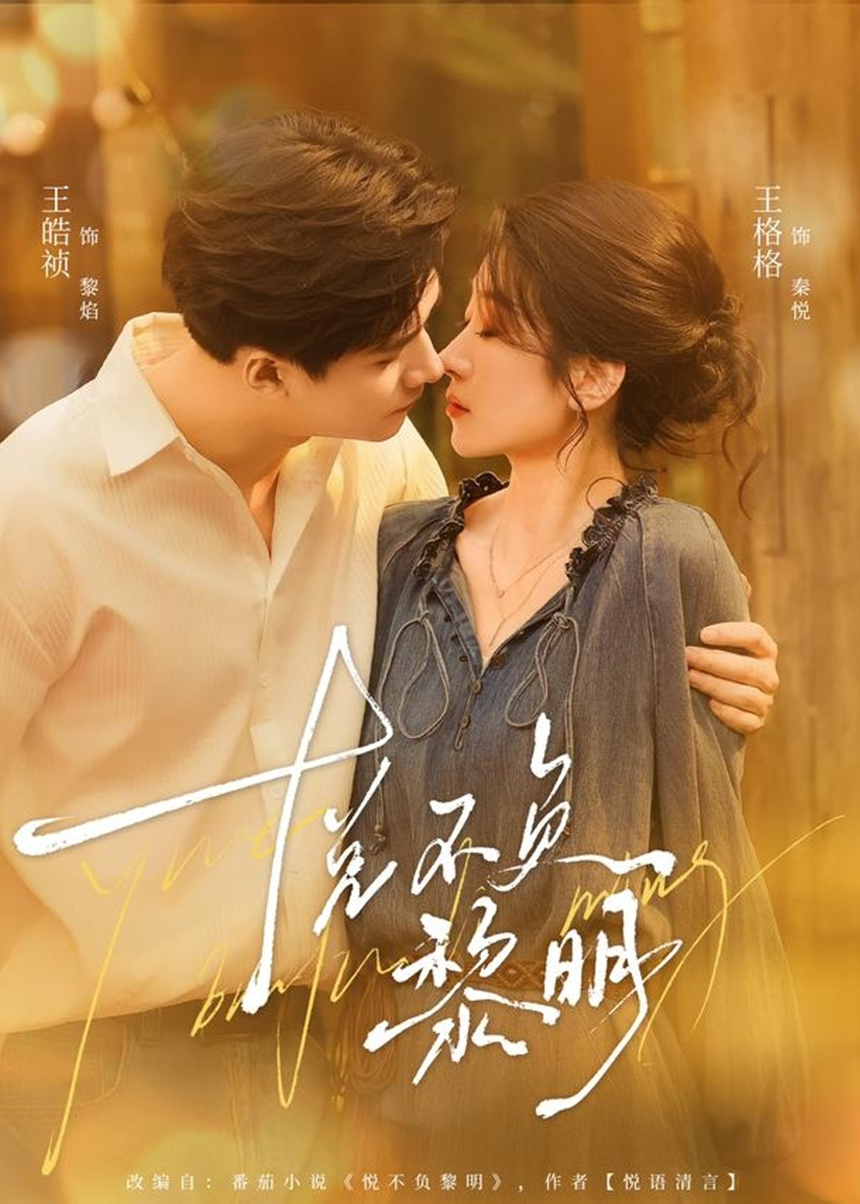 悦不负黎明封面图