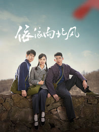 依依向北风封面图