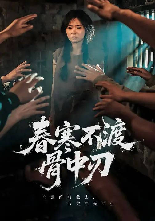 春寒不渡骨中刃封面图
