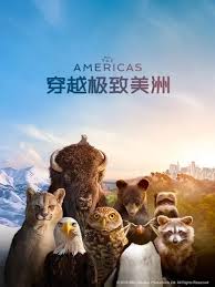 穿越极致美洲国语封面图