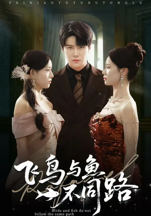 飞鸟与鱼不同路封面图