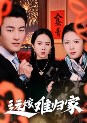 远嫁难归家封面图