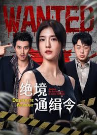 绝境通缉令封面图
