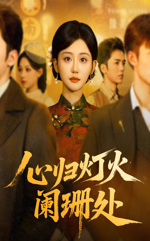 心归灯火阑珊处封面图