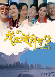 我在迪拜等你封面图