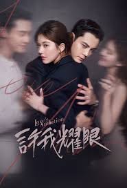 许我耀眼封面图