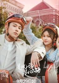 是风动、是心动封面图