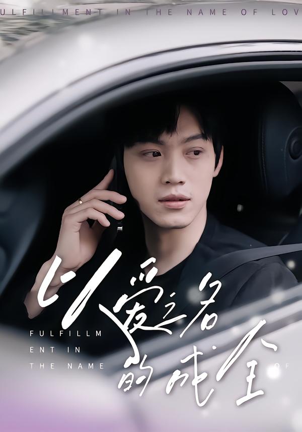 以爱之名的成全封面图