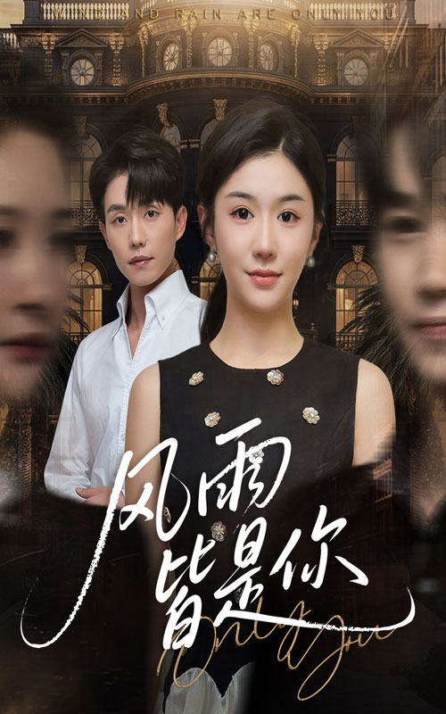 风雨皆是你封面图