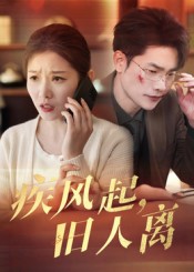 疾风起旧人离封面图