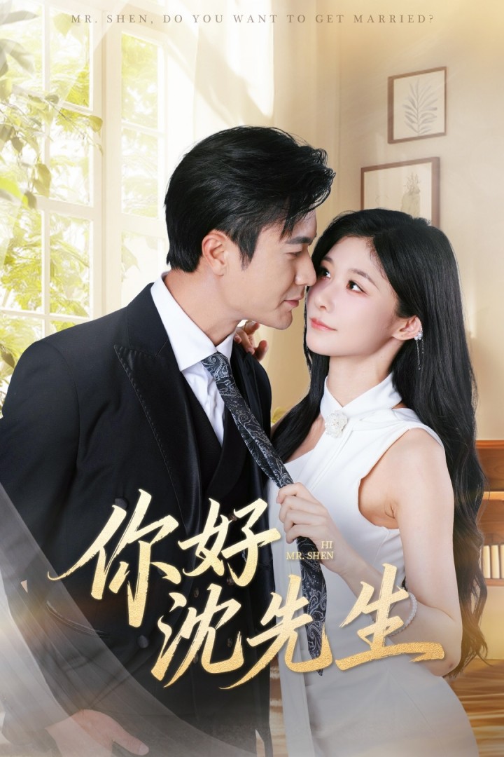 你好沈先生封面图