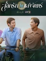 月光挚情封面图