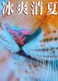 寒冰白血封面图