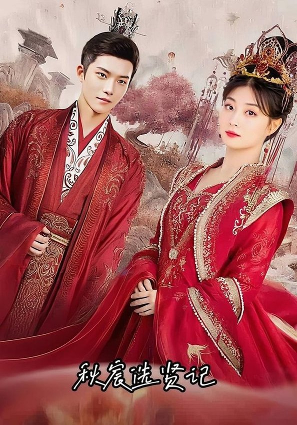 秋宸选贤记封面图