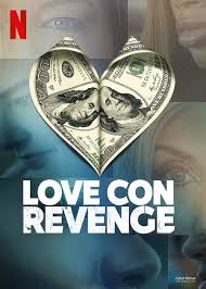 网恋诈骗复仇记封面图