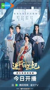 进阶的王妃封面图